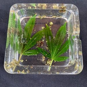 Plant w ashtray/jewelry tray 🍃